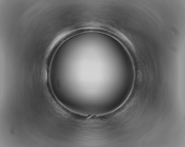 X0000113531368200909181126