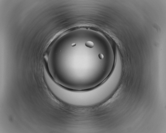 X0000113531369200909181126