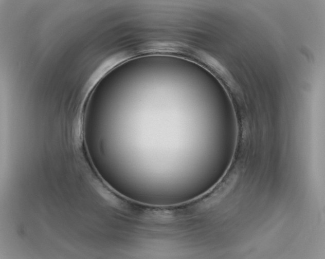 X0000113531370200909181126