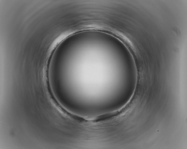 X0000113531373200909181126