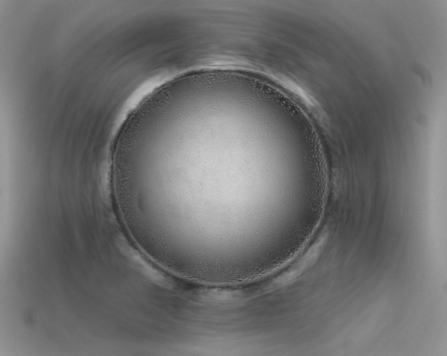 X0000113531374200909181126