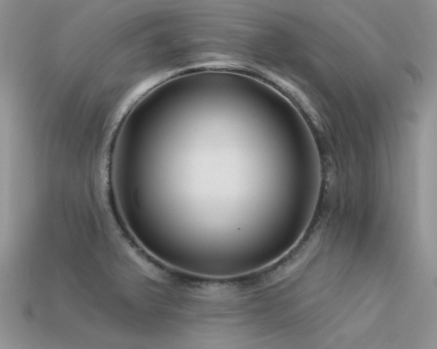 X0000113531375200909181126