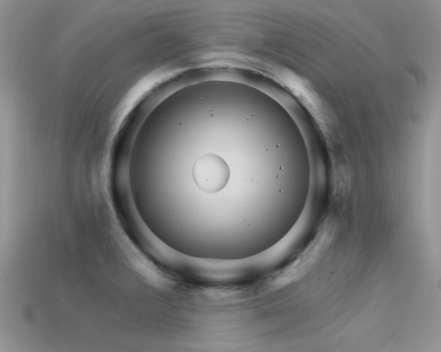 X0000113531376200909181126