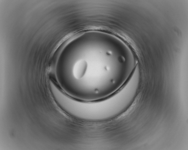 X0000113531377200909181126