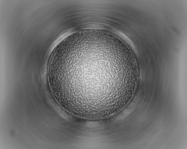 X0000113531378200909181126