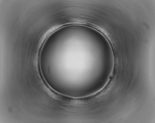 X0000113531379200909181126