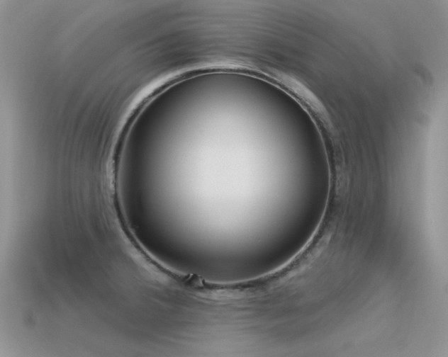 X0000113531380200909181126