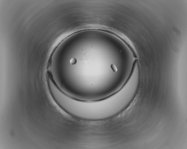 X0000113531381200909181126