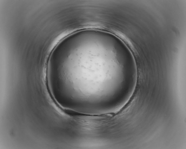 X0000113531383200909181126