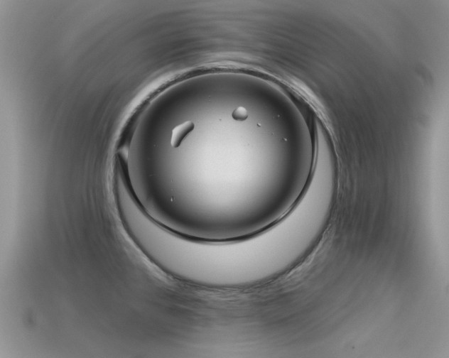 X0000113531384200909181126