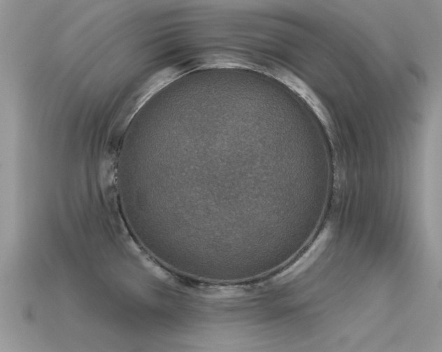 X0000113531385200909181126