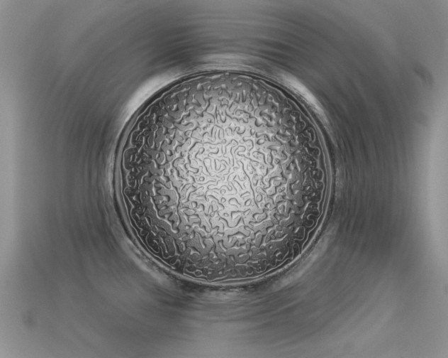 X0000113531386200909181126