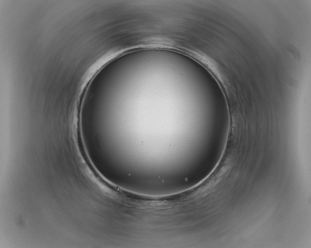 X0000113531387200909181126
