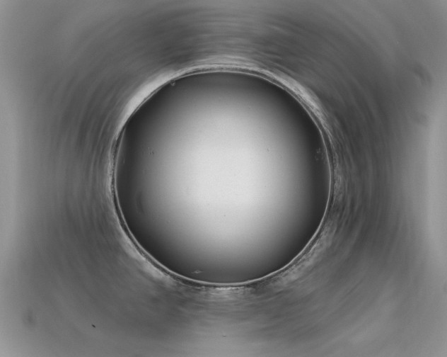 X0000113531390200909181126