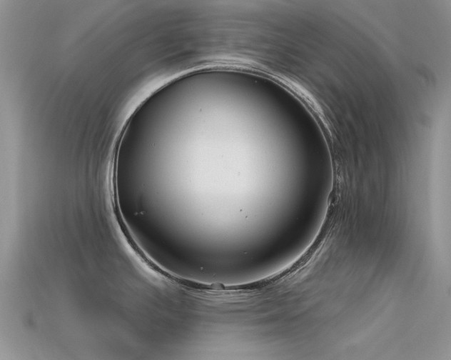 X0000113531391200909181126