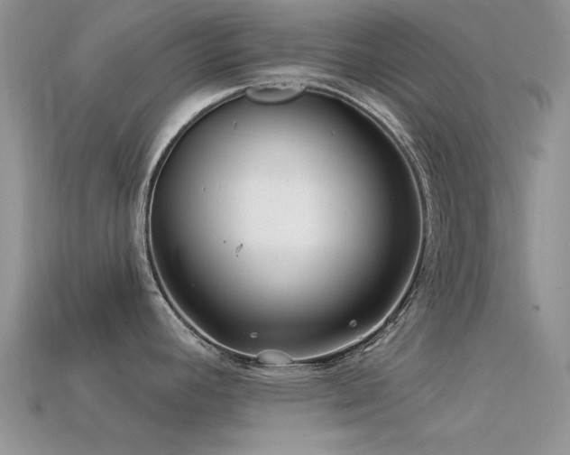 X0000113531392200909181126
