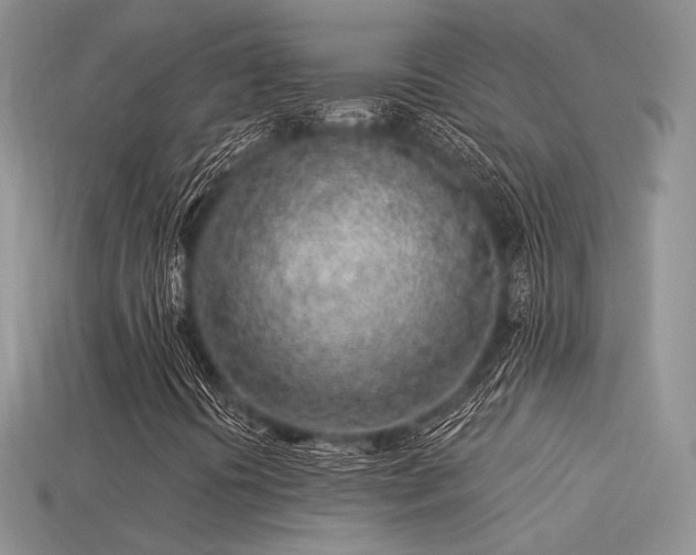 X0000113531394200909181125