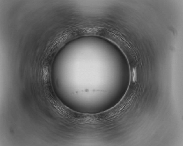 X0000113531395200909181125