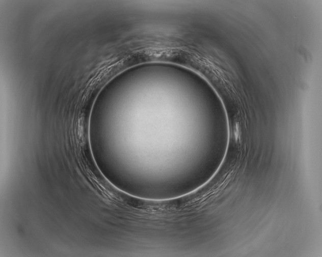 X0000113531396200909181125