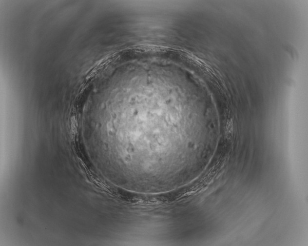 X0000113531397200909181125