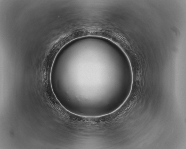 X0000113531398200909181125