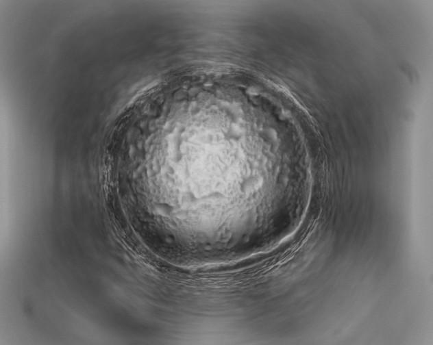 X0000113531399200909181125
