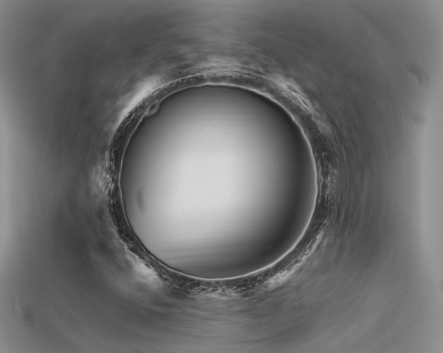 X0000113531400200909181125