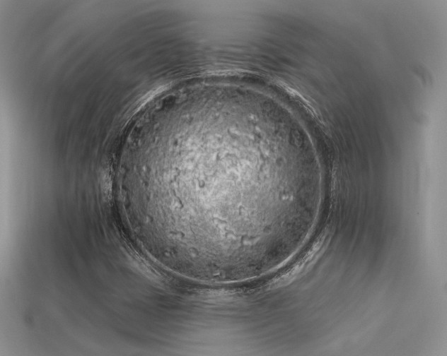 X0000113531401200909181125