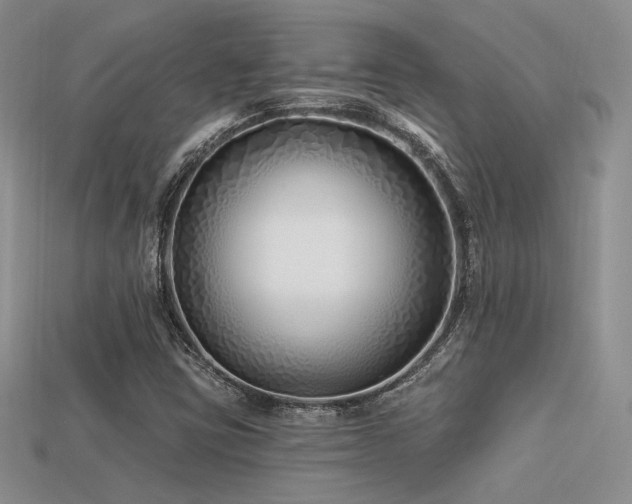 X0000113531403200909181125