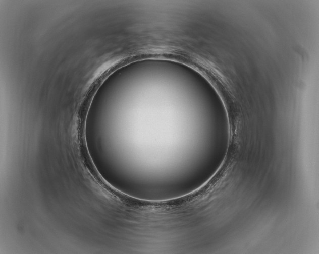 X0000113531404200909181125