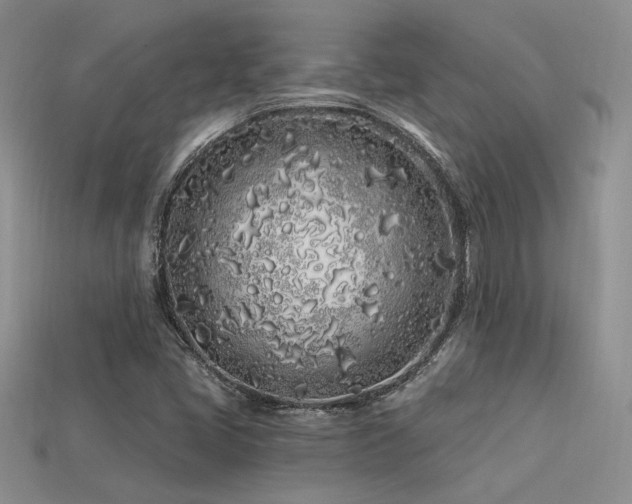 X0000113531405200909181125