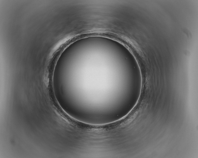 X0000113531406200909181125