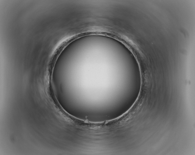 X0000113531408200909181125