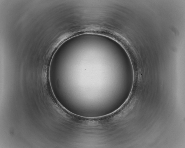 X0000113531409200909181125