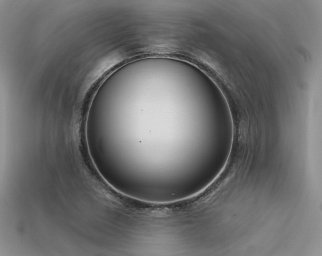 X0000113531410200909181125