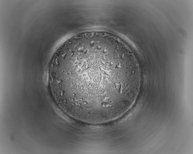 X0000113531413200909181125