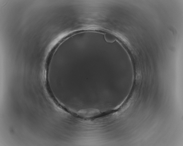 X0000113531414200909181125
