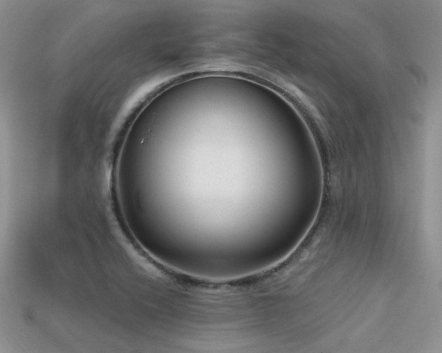 X0000113531416200909181125