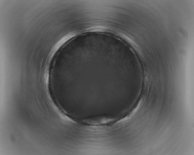 X0000113531418200909181125
