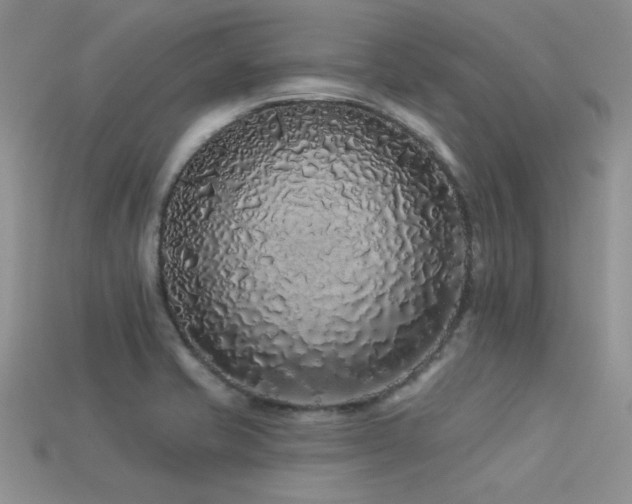 X0000113531421200909181125