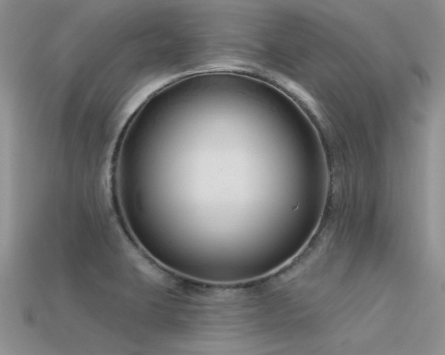 X0000113531423200909181125