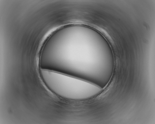 X0000113531424200909181125
