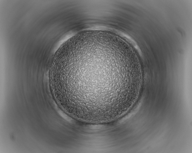 X0000113531425200909181125