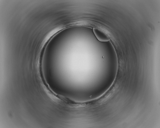 X0000113531426200909181125