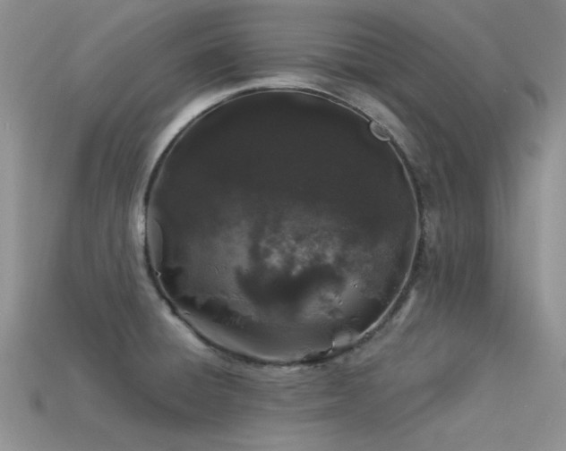 X0000113531428200909181125