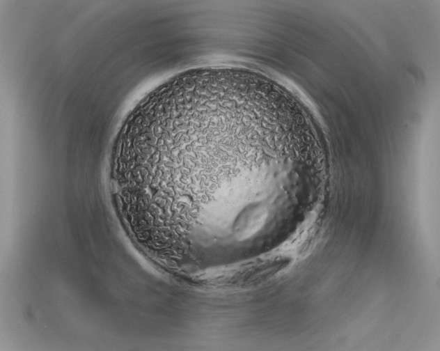 X0000113531429200909181125