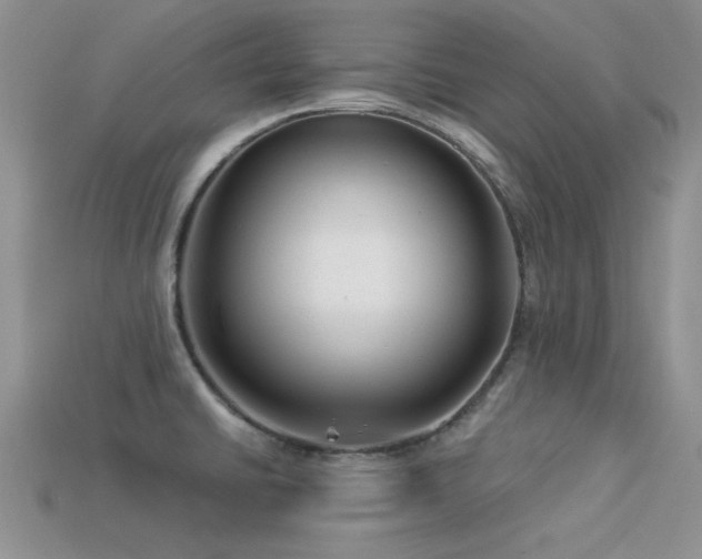 X0000113531430200909181125