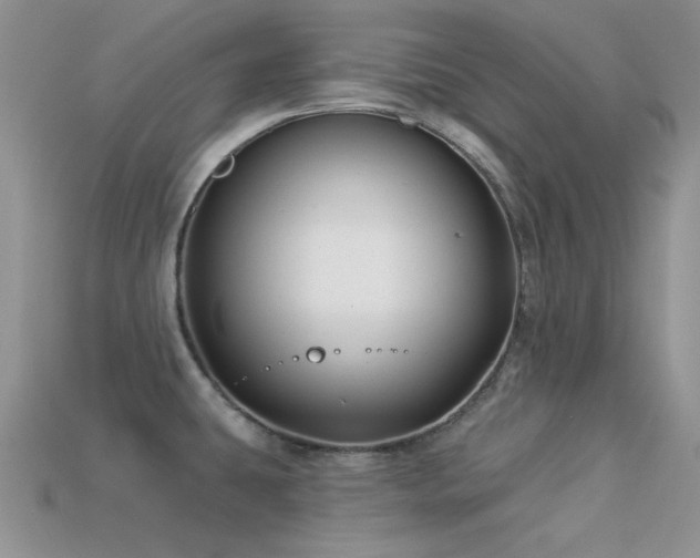X0000113531431200909181125