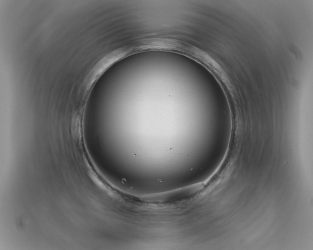 X0000113531433200909181125