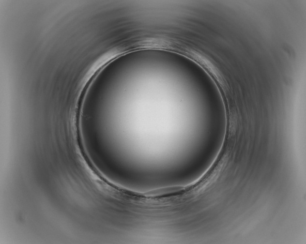 X0000113531434200909181125